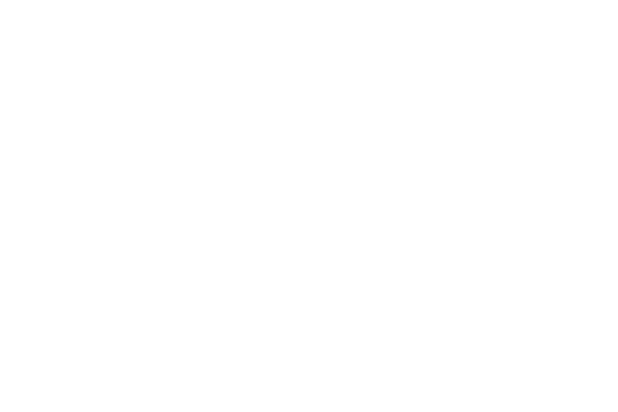 בלקן ביט בוקס